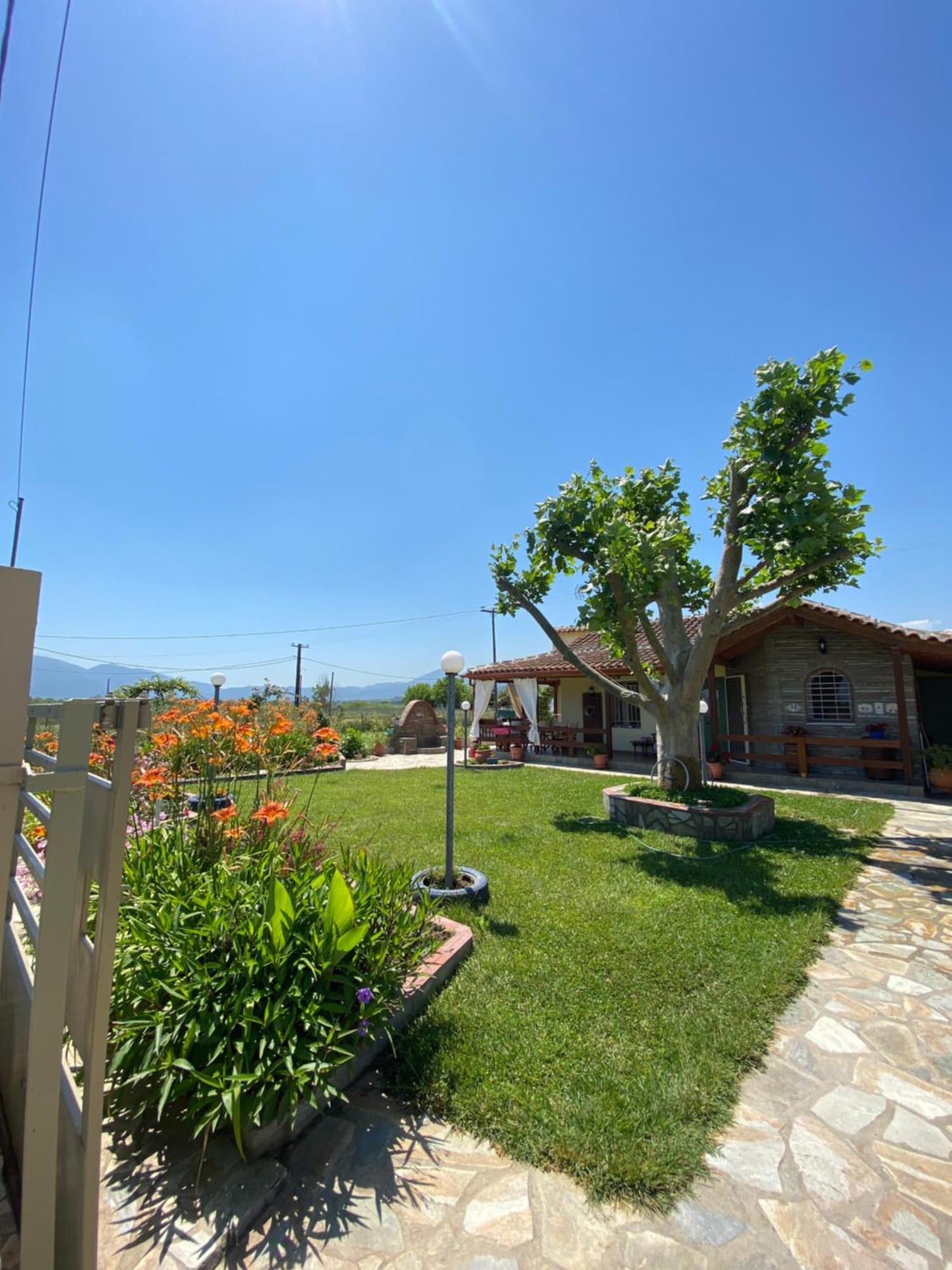 Platanos House Villa Nea Mesagkala Exterior photo
